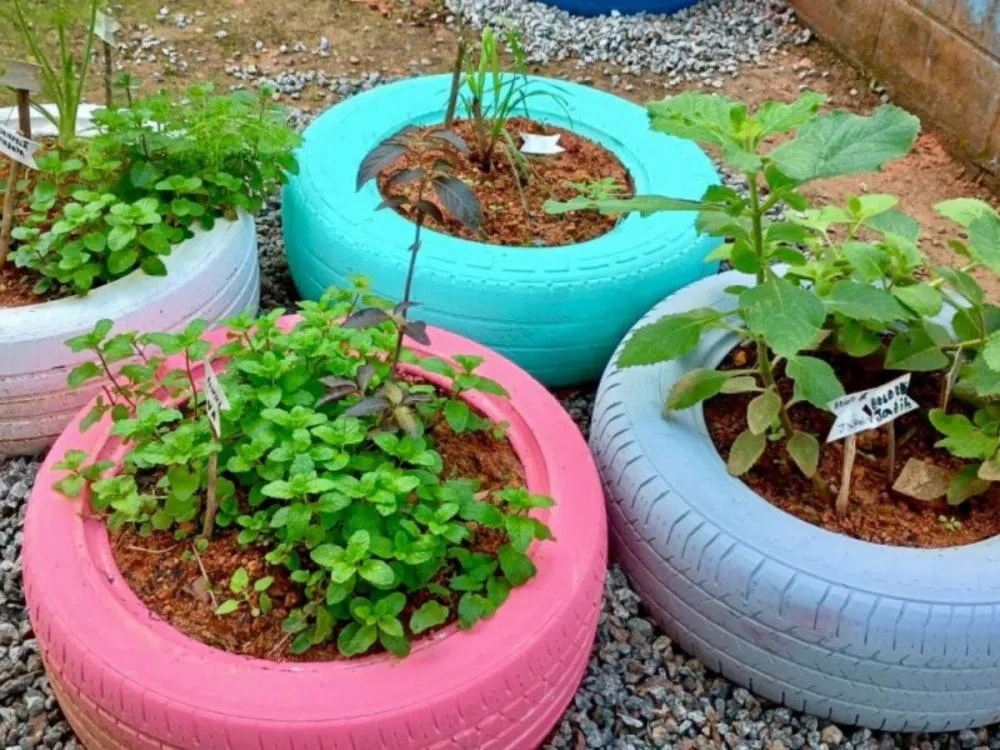 Alunos de Blumenau criam horta de chás e resgatam tradições populares sobre ervas medicinais