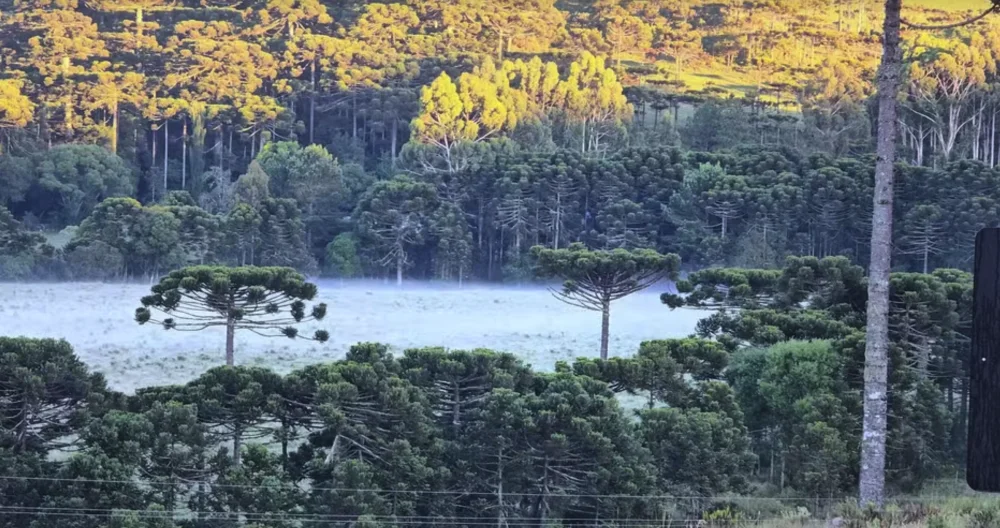 SC emite alerta vermelho para frio intenso com chance de neve e geada nos próximos dias
