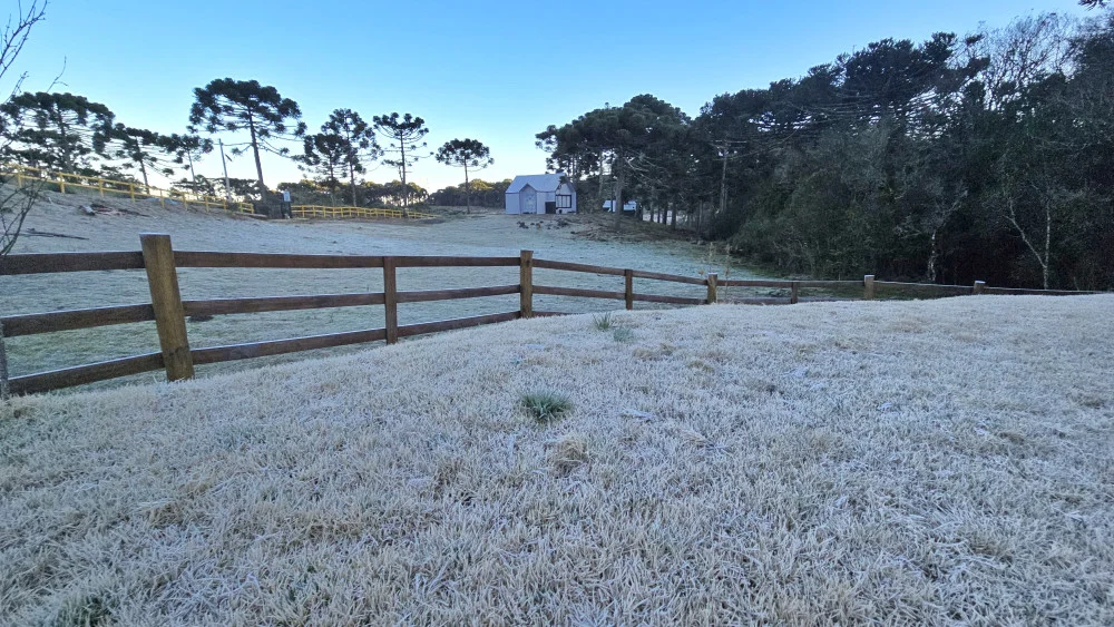 Geada cobre paisagens e SC amanhece gelada com mínimas de até -8,03ºC