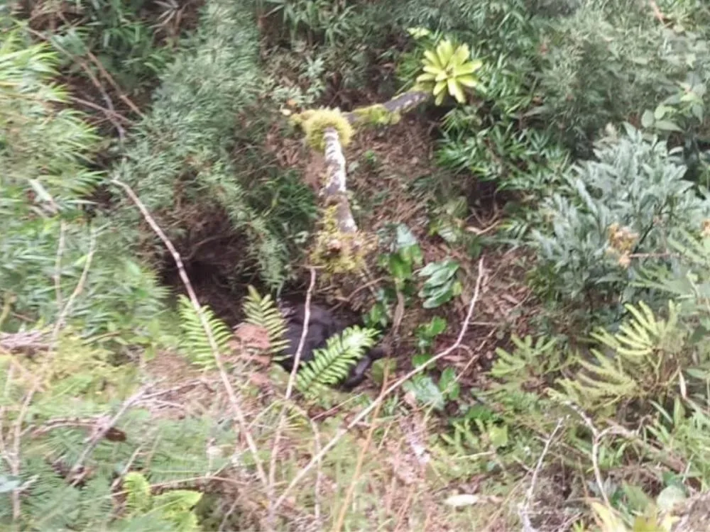 Foto: Divulgação/CBMSC