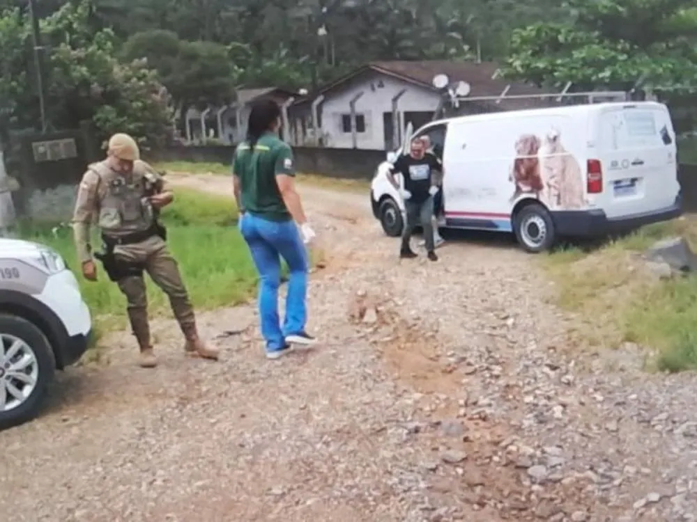 Mulher é multada em R$ 6 mil por abandonar gato em rua de Blumenau