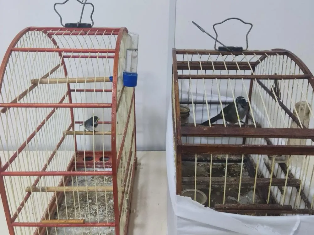 Foto: PM/Divulgação