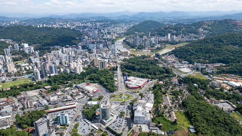 Blumenau quer mapear locais com mais atropelamentos de animais e pede ajuda da população