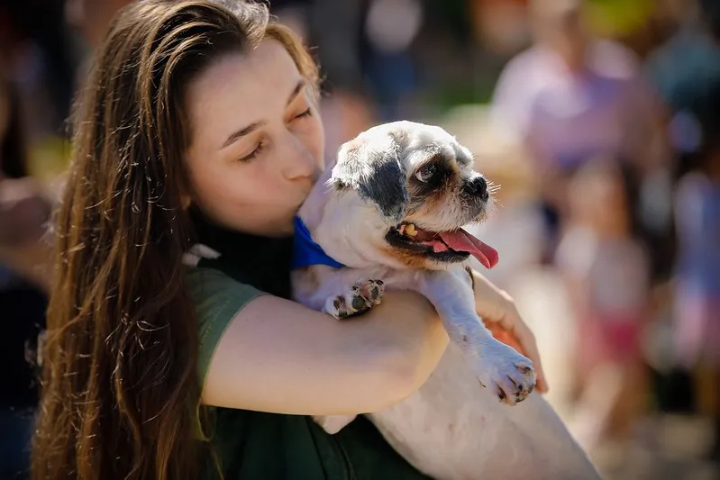 Animais de famílias de baixa renda e de ONGs são castrados gratuitamente em Blumenau; veja balanço