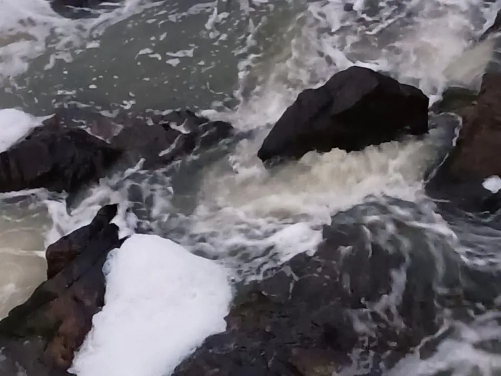 Foto: Reprodução/Charles Kath