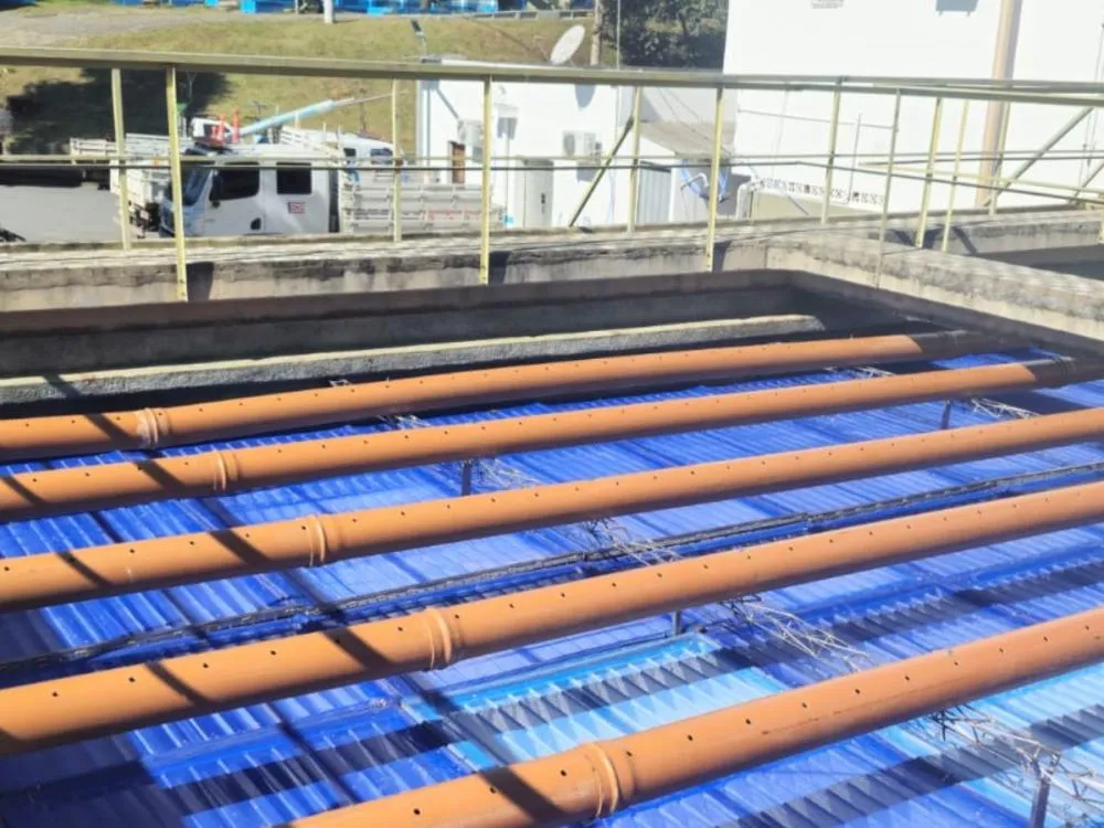 Foto: Samae/Divulgação 