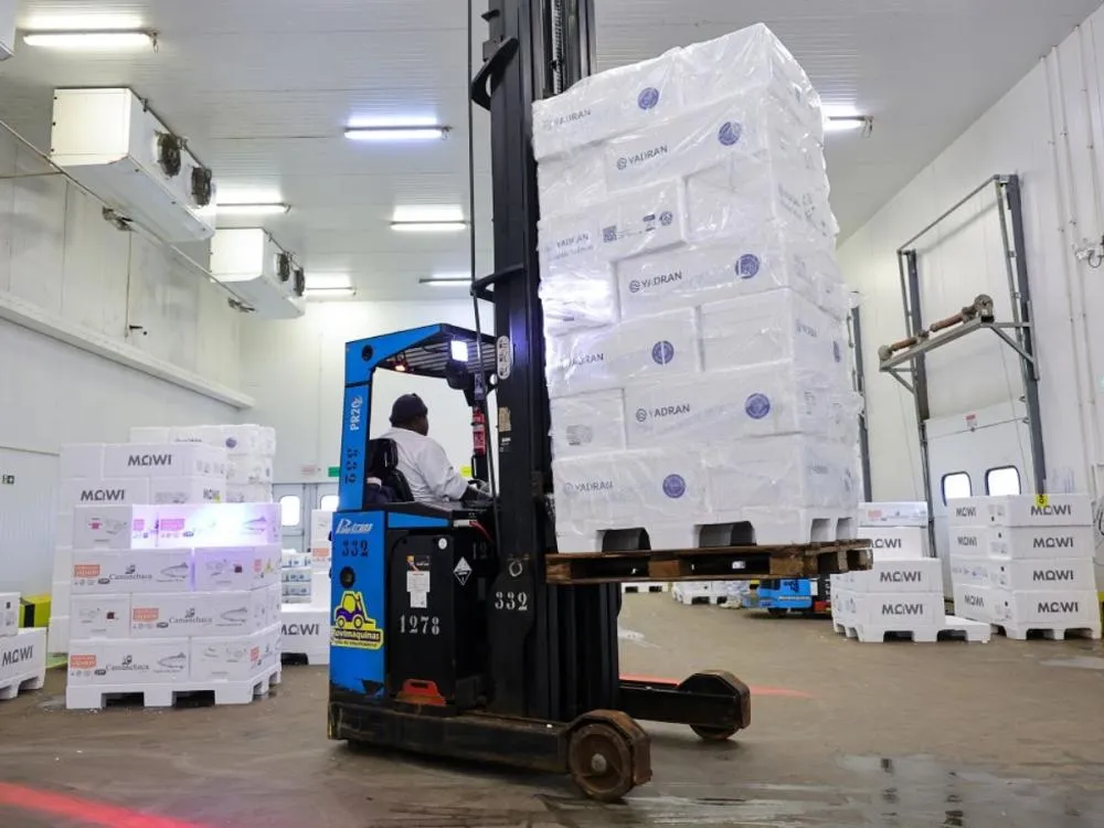 Santa Catarina registra segundo maior crescimento econômico do país em 2025