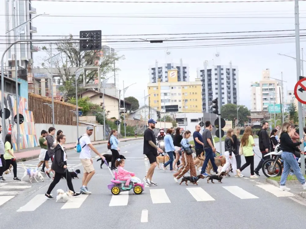 Cãominhada reúne tutores, pets e visitantes no Parque Vila Germânica; veja como foi