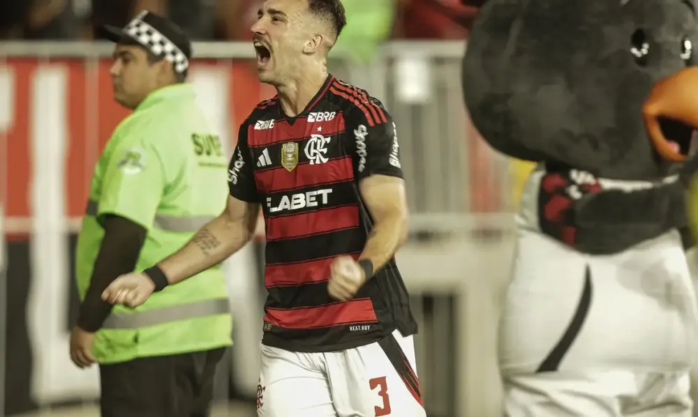 Flamengo vence o Galo e assume a liderança do Campeonato Brasileiro