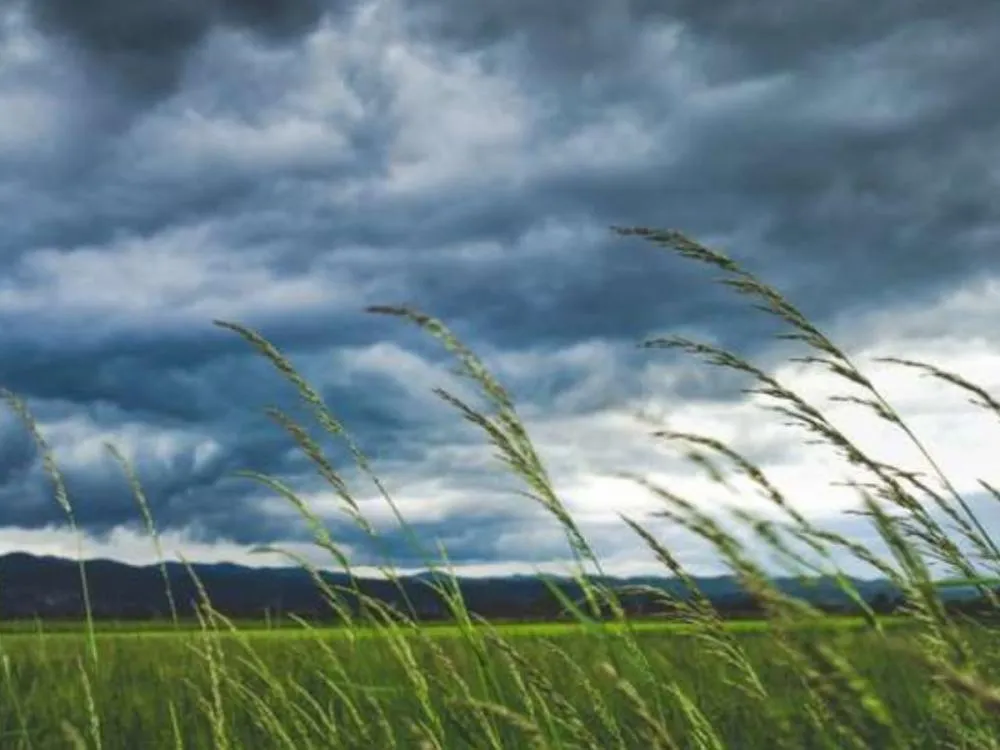 Semana começa com ventos fortes, mar agitado e chance de neve em Santa Catarina