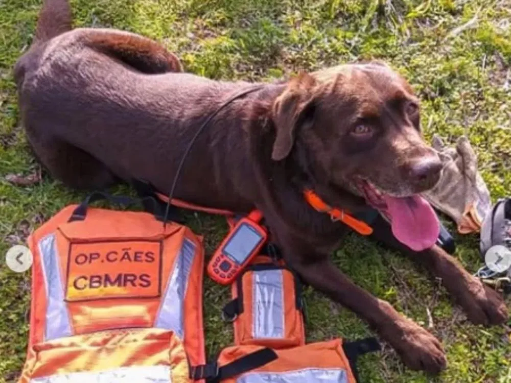 Foto: Reprodução/Redes Sociais