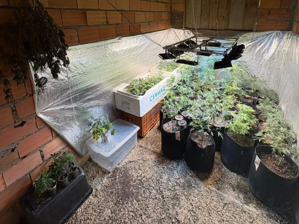 Foto: Divulgação/Polícia Civil