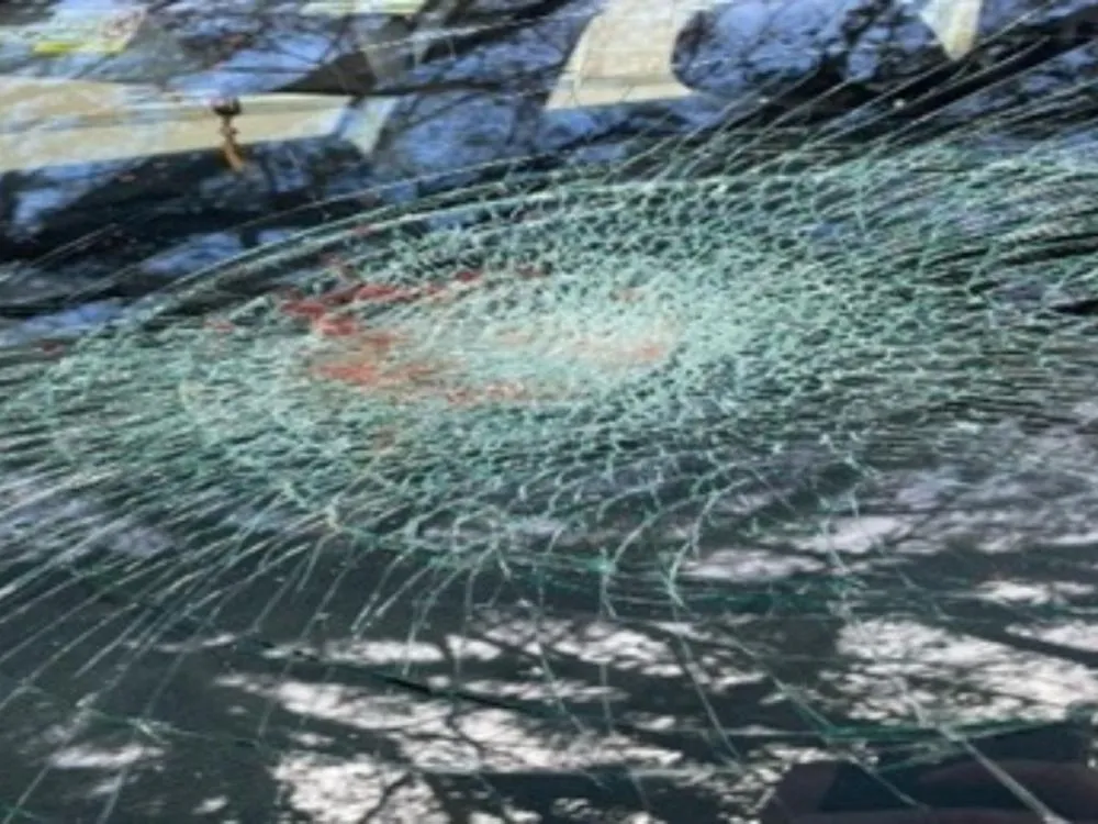 Foto: Divulgação/PMSC