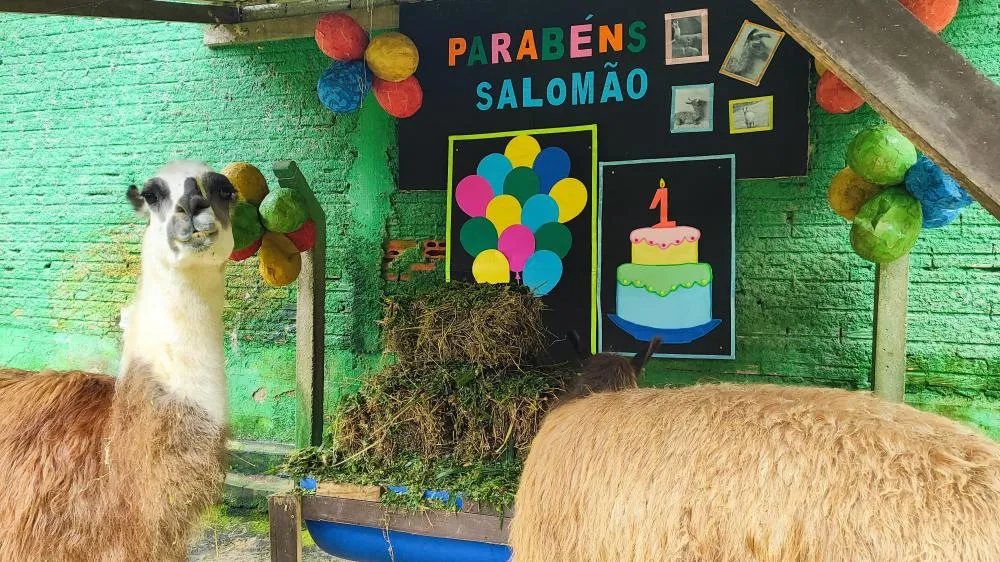 Foto: Diego Amancio/ Prefeitura de Brusque