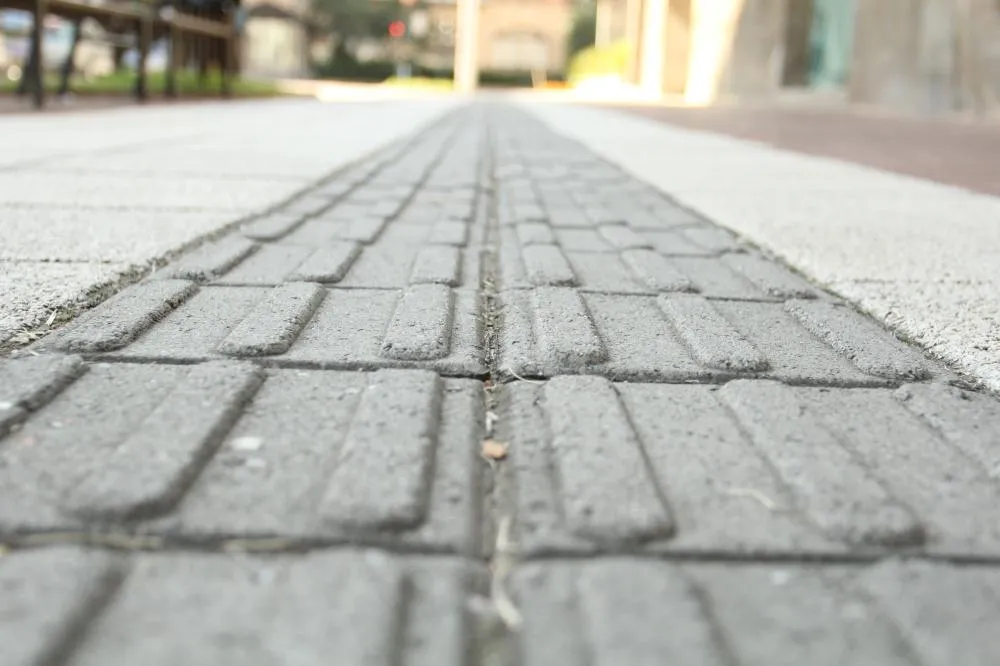 Foto: Divulgação/Câmara de Vereadores de Blumenau