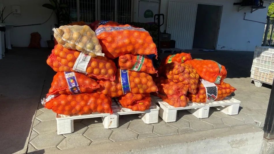 Doação de alimentos beneficia 58 instituições em Blumenau