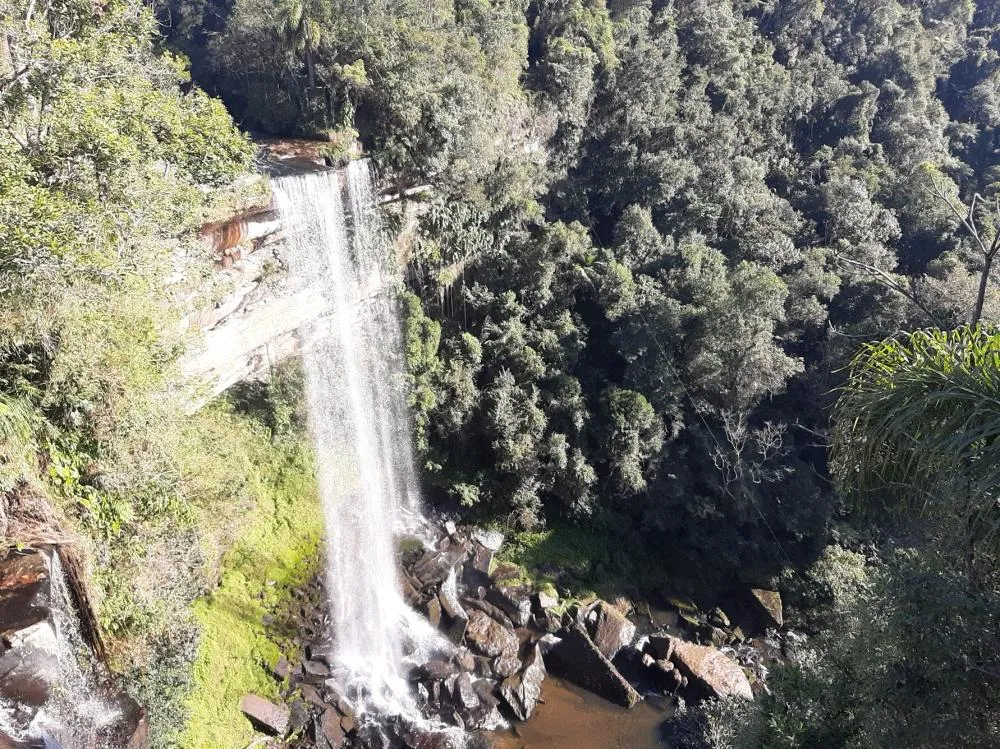 Foto: Maurício Cattani/Arquivo pessoal 