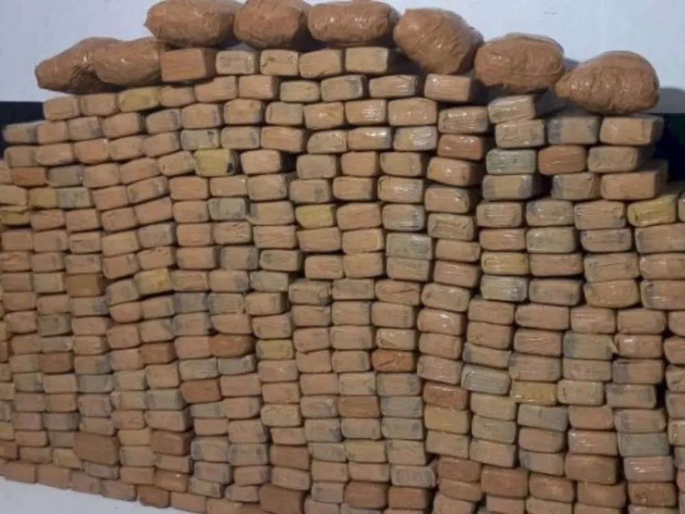 Polícia apreende mais de 270 kg de drogas em operação conjunta em Itajaí