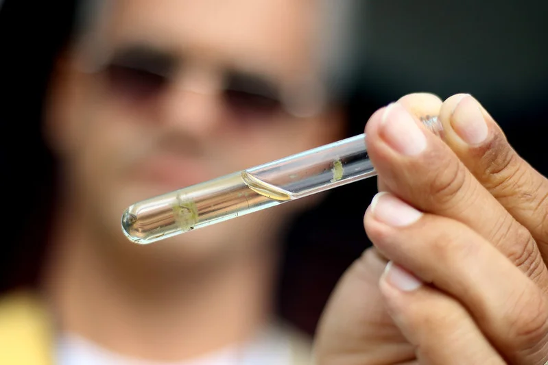 SC registra 17 mortes por dengue e quatro por chikungunya em 2025