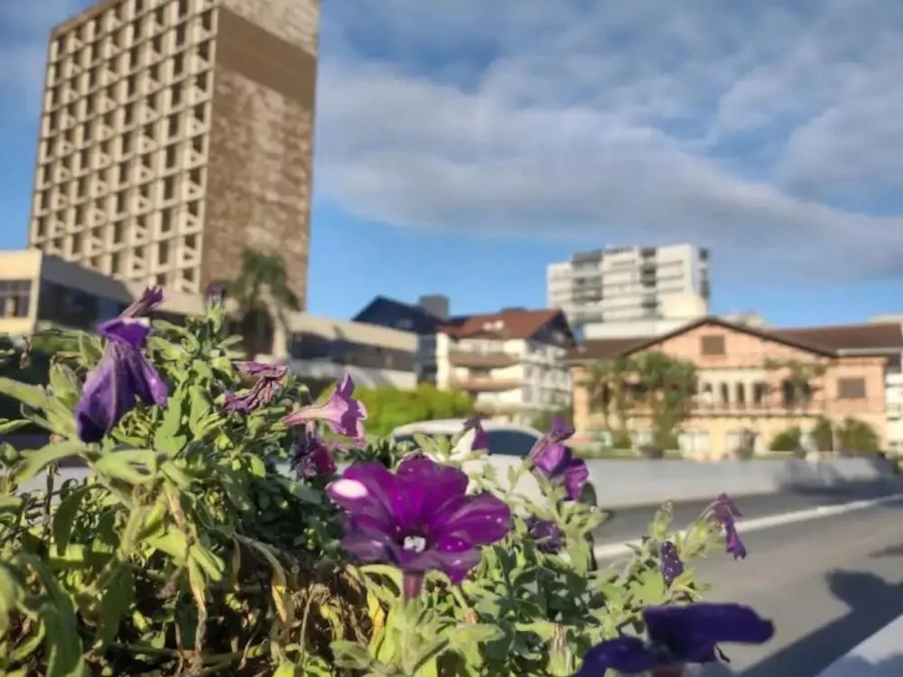 Domingo será de sol entre nuvens em Blumenau e região