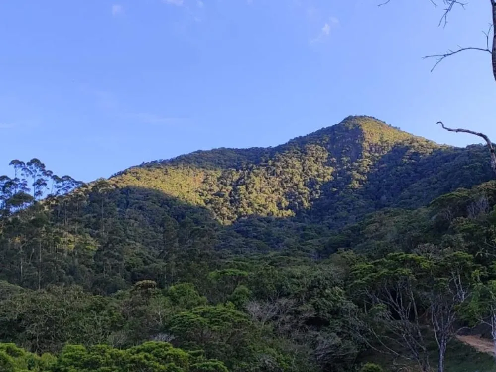 Mulher fica ferida após sofrer queda em trilha no Pico Bateias, em Gaspar