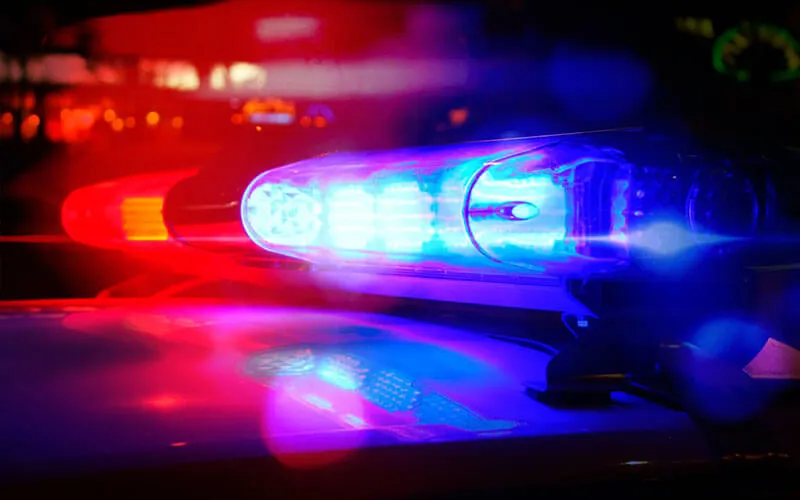 Homem é preso por maus-tratos após atropelar cachorro de propósito em Blumenau