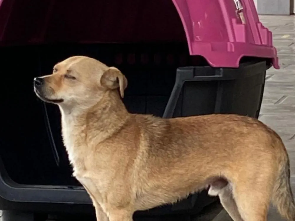 Foto: Rafael Burgmann