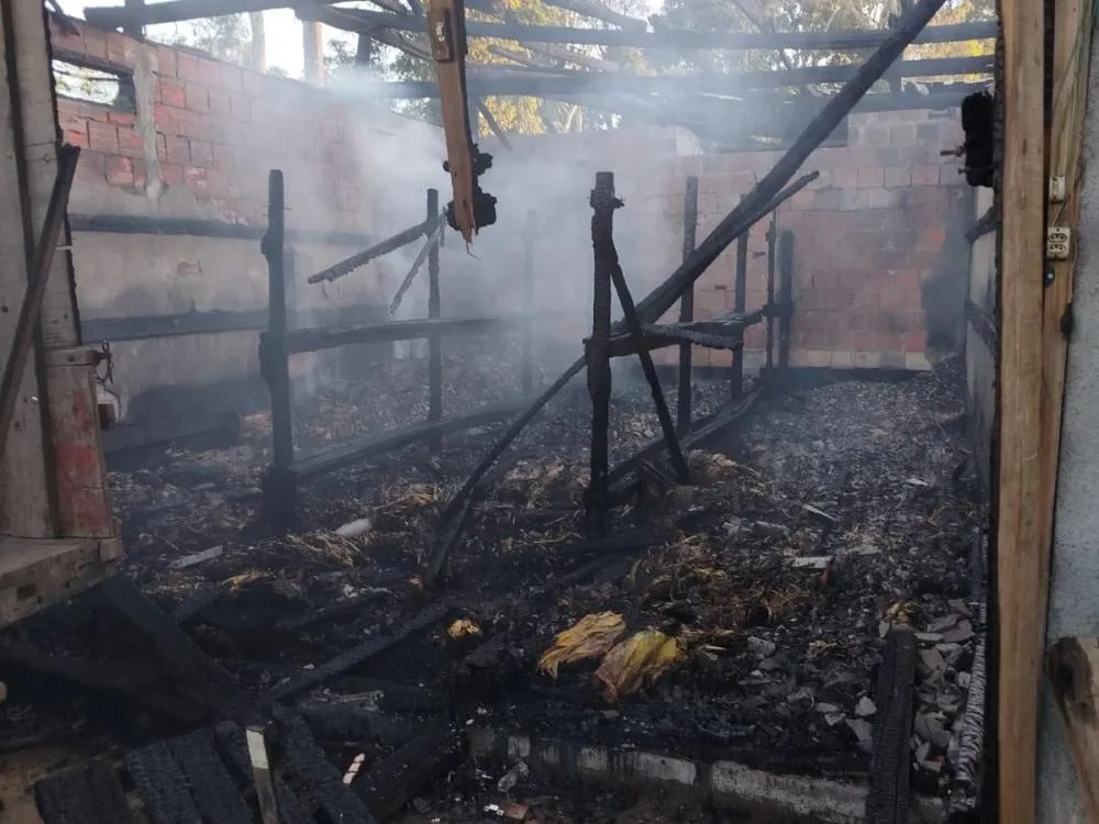 Bombeiros controlam incêndio, mas fogo destrói cerca de 100 m² em estufa de fumo no Alto Vale do Itajaí