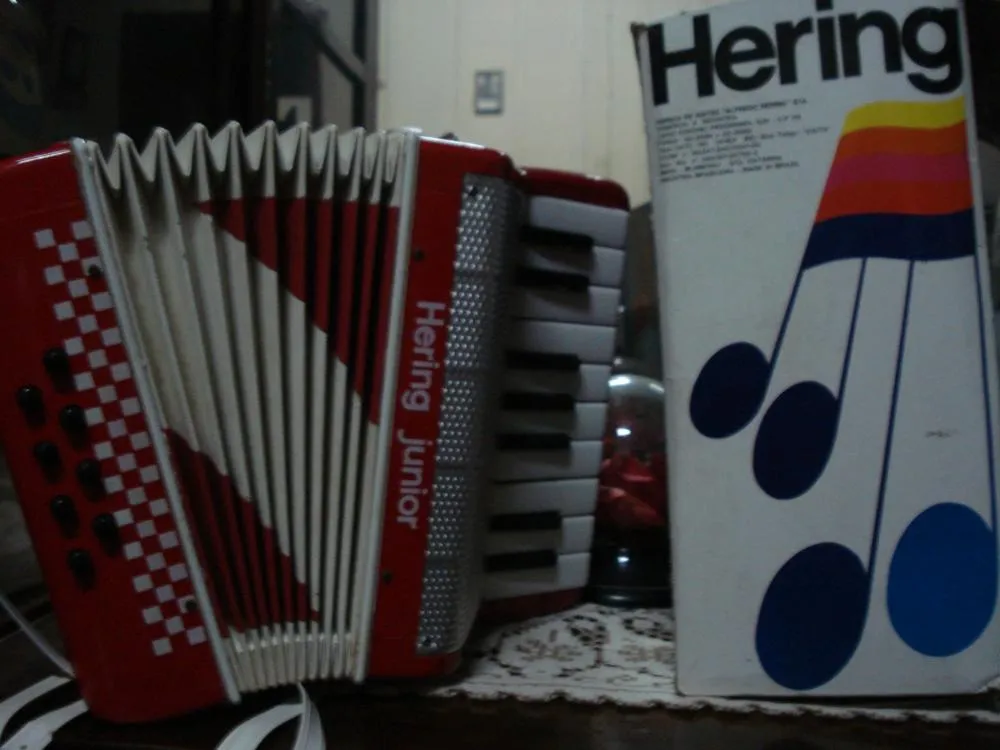 Hering: o brinquedo que soa bem