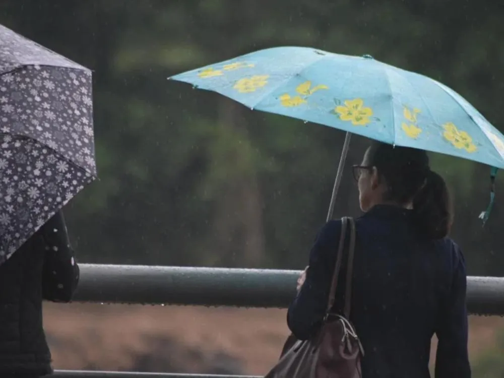 Foto: Maurício Cattani/Arquivo pessoal 