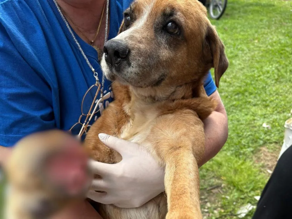 Foto: Divulgação/PCSC