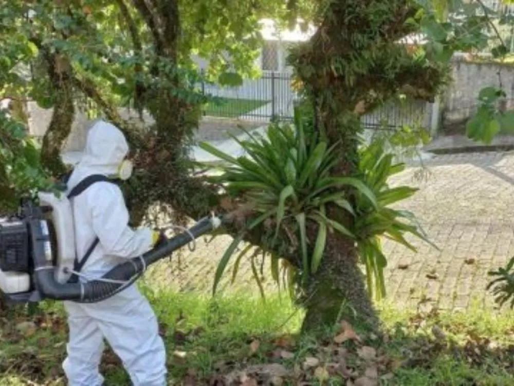Fumacê contra a dengue acontece no bairro Vorstadt nesta quarta-feira, em Blumenau