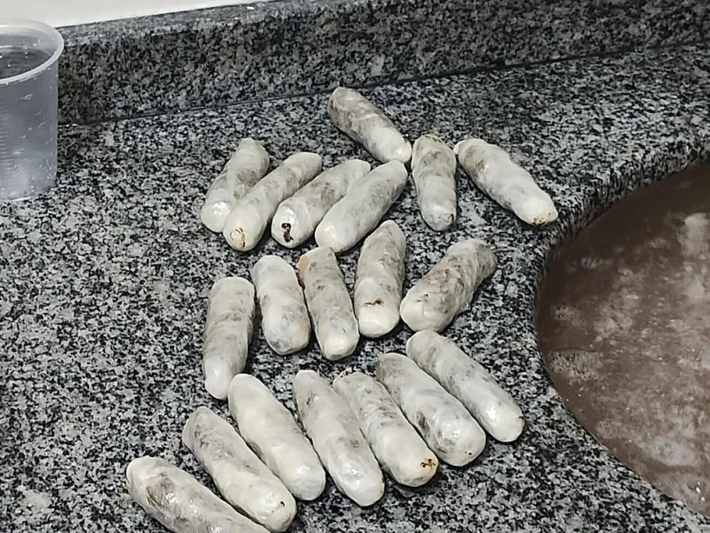 Professor é preso suspeito de levar drogas para presos dentro de penitenciária em Blumenau