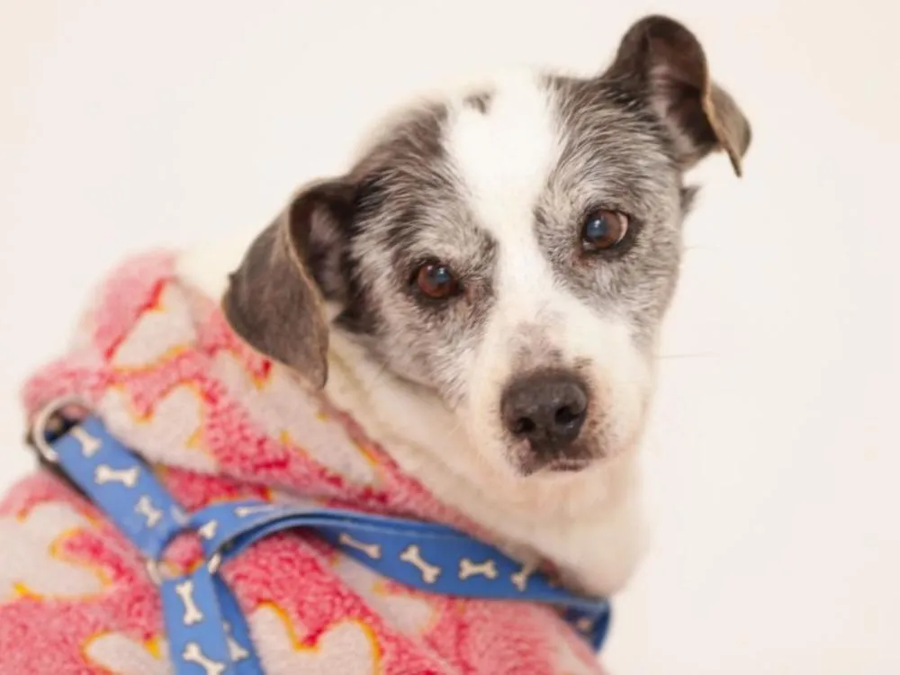 Foto: Michele Lamin/Prefeitura de Blumenau