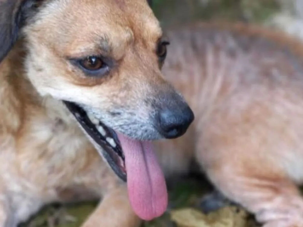 Foto: Arquivo/AJ Notícias