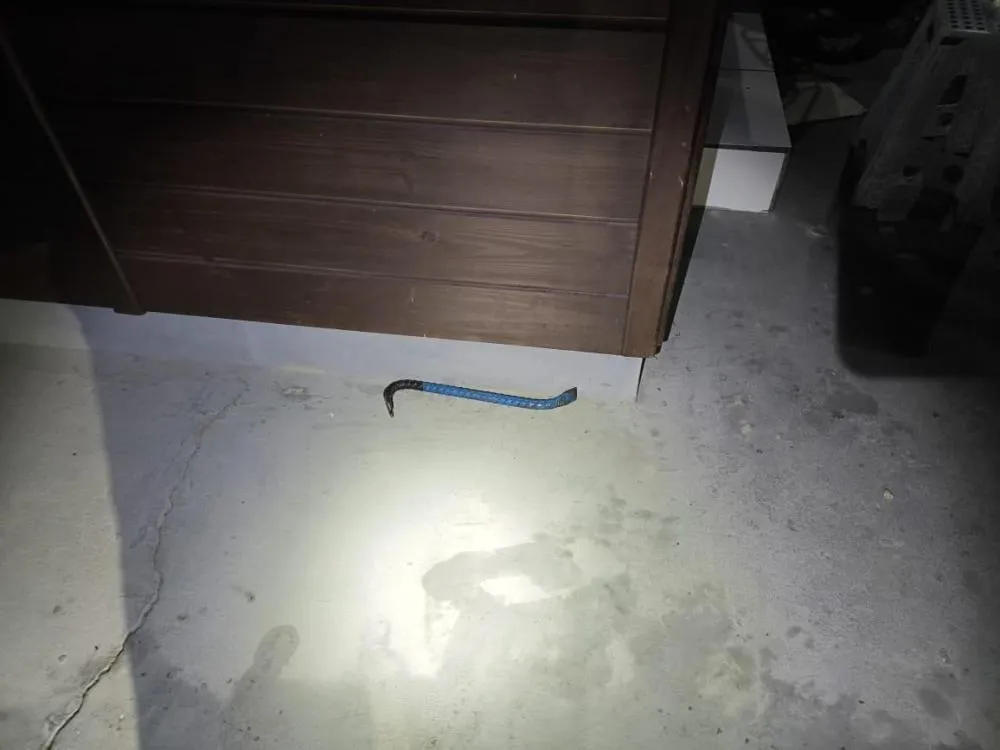 Foto: PM/Divulgação 