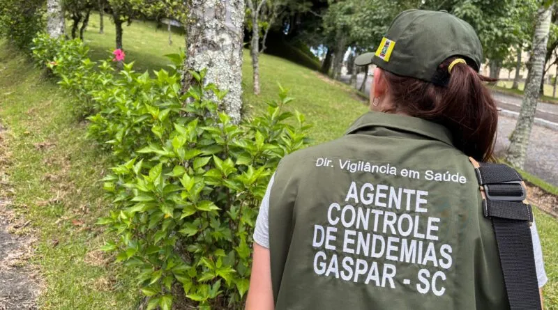 Com foco no combate à dengue, Gaspar intensifica ações de limpeza de cemitérios antes do feriado de Finados