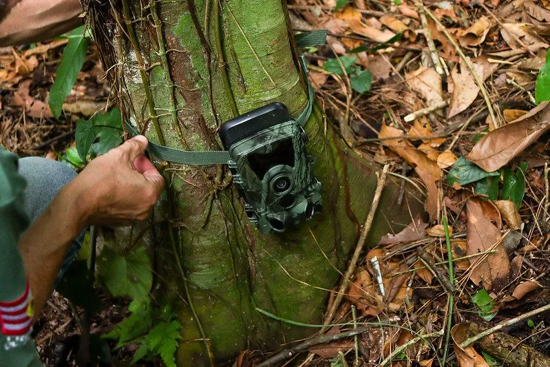 Foto: Prefeitura de Blumenau/Divulgação 