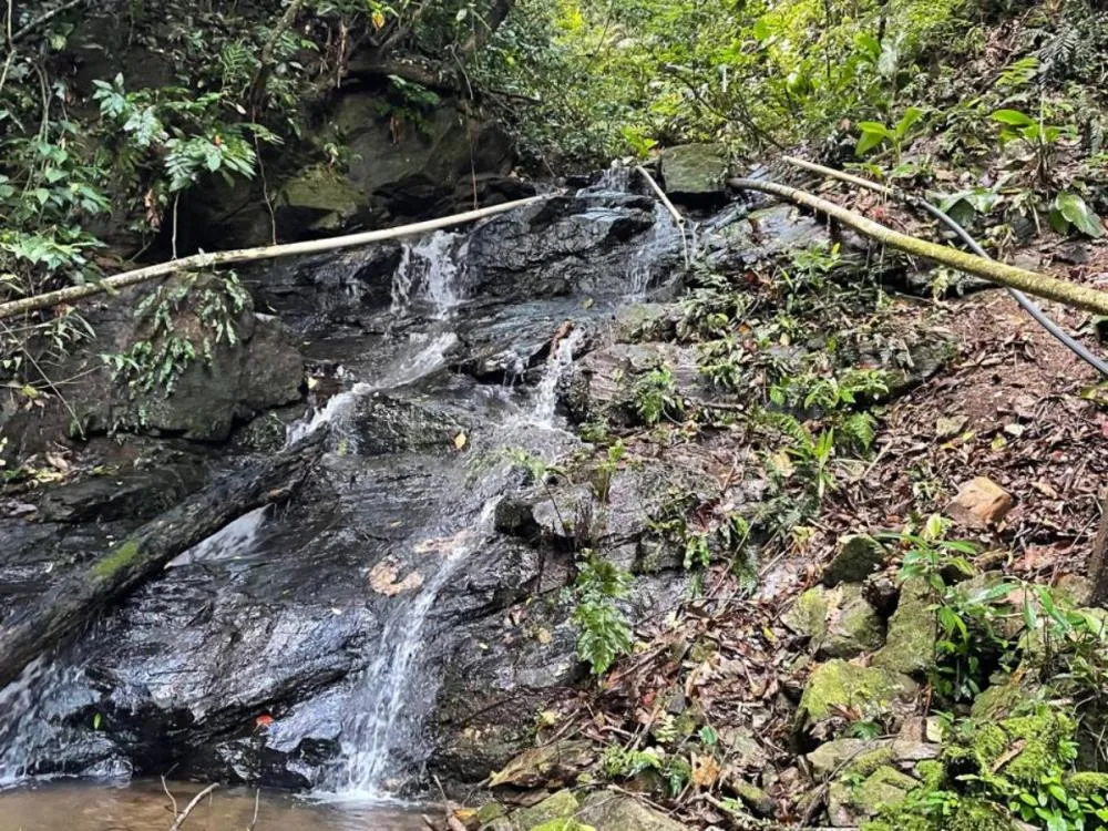 Foto: Divulgação/Bombeiros 