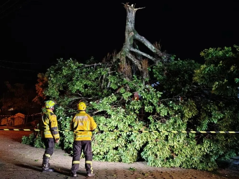 Ventos fortes derrubam árvores no Alto Vale do Itajaí e mobilizam bombeiros