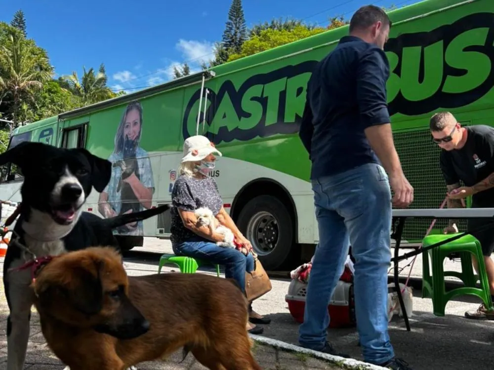 Mutirão do Programa Castra Pet registra mais de 200 castrações em Balneário Camboriú