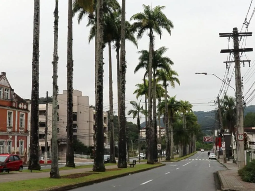Interdição na Rua das Palmeiras altera trânsito e transporte coletivo neste fim de semana