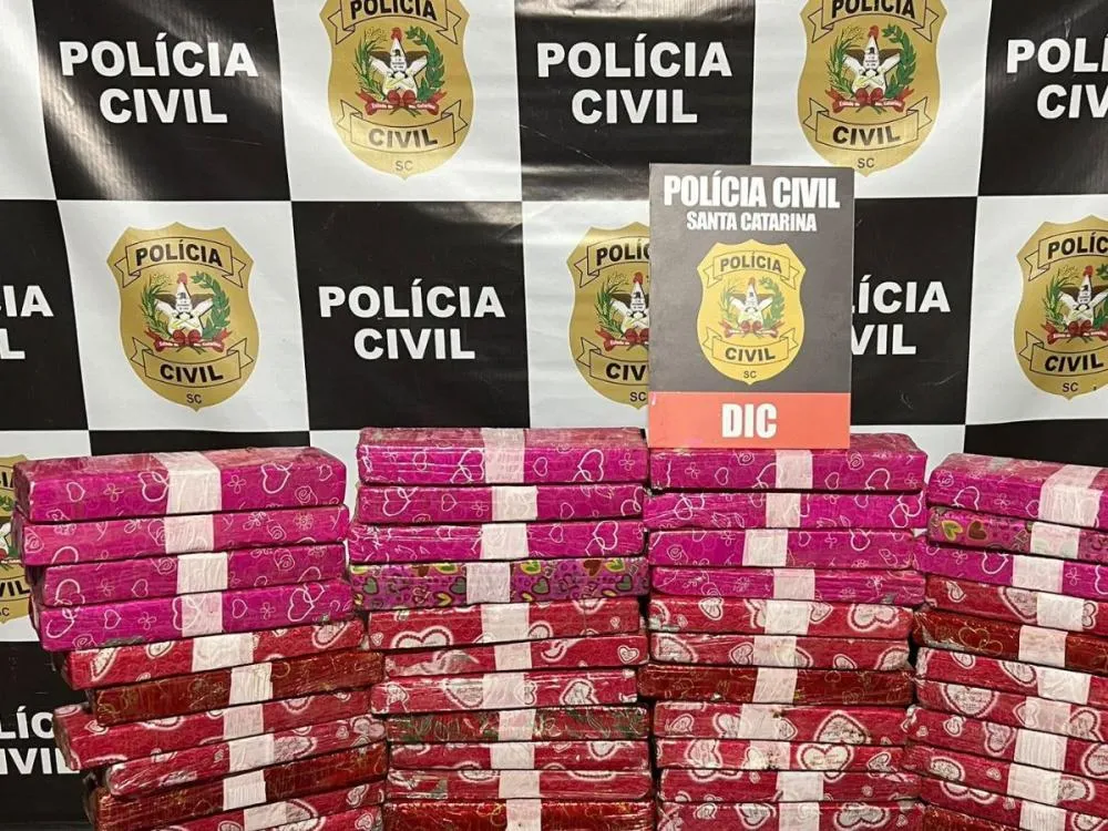 Operação da Polícia Civil apreende 37 kg de maconha em apartamento usado como depósito em Blumenau