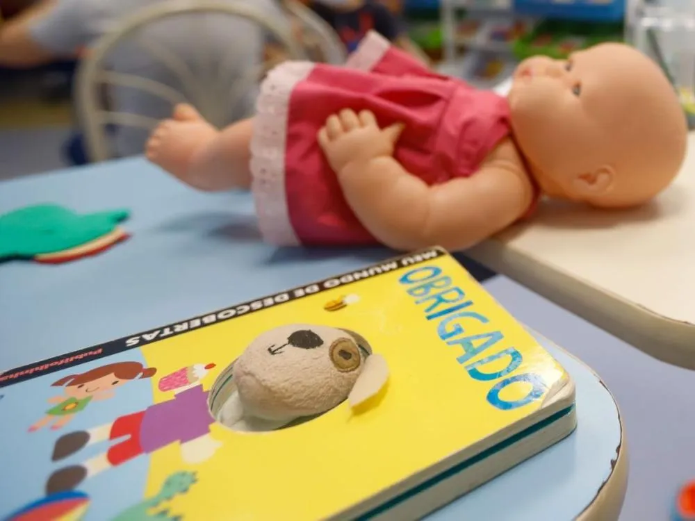 Santa Catarina lança cadastro estadual de pedófilos e agressores sexuais