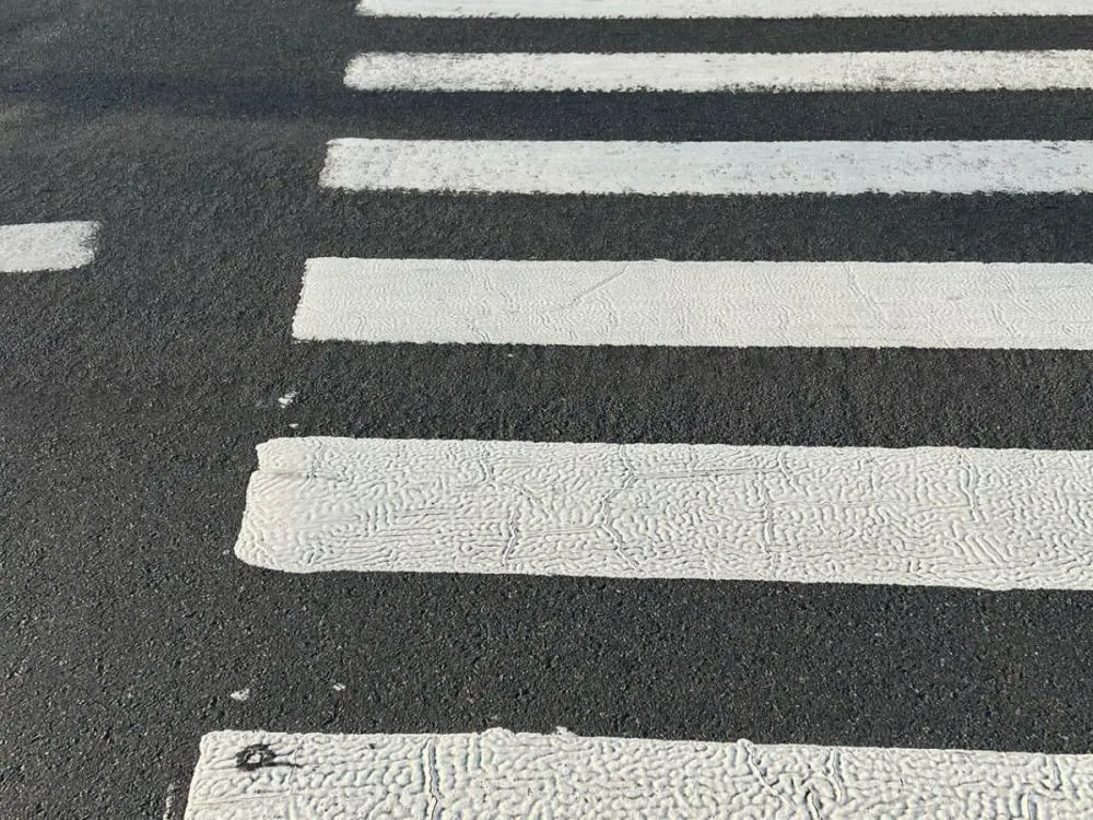 Dois atropelamentos são registrados em Blumenau; um ocorreu na faixa de pedestres