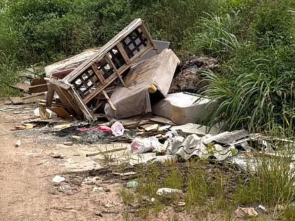 Fotos: Acúmulo de lixo às margens da BR-470 continua em Blumenau e preocupa autoridades e motoristas