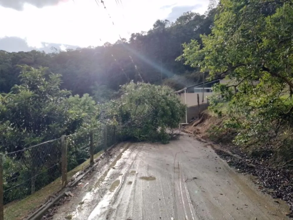 Defesa Civil de Blumenau registra alagamentos pontuais e queda de árvores após trovoada