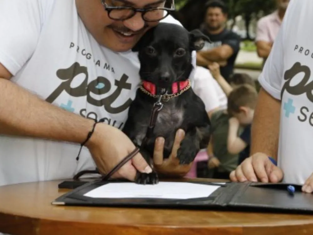 Programa Pet +Seguro: Parceria com a FURB redefine atendimento veterinário público em Blumenau