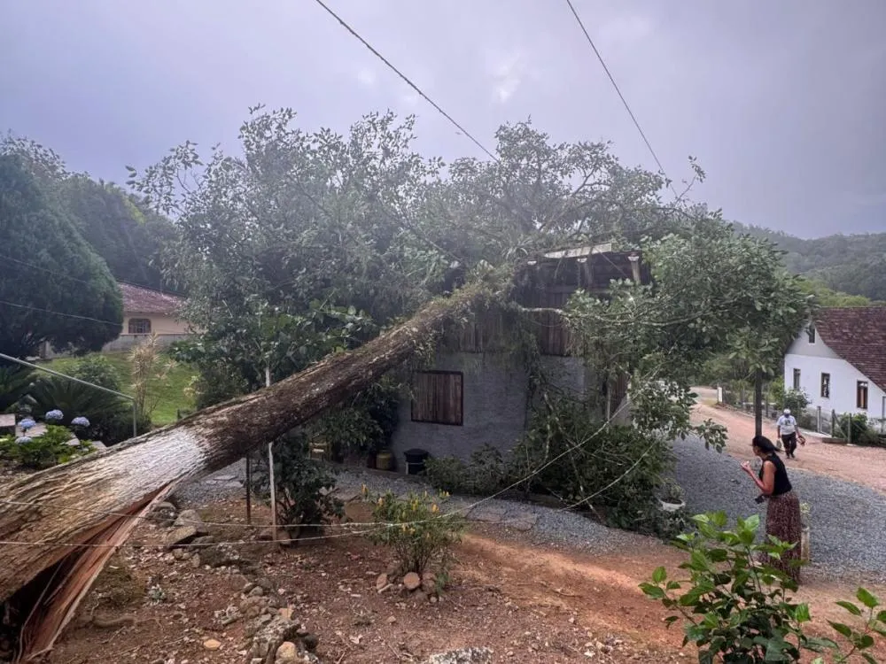 Rajadas de vento de 80 km/h provocam estragos em Gaspar; veja fotos 