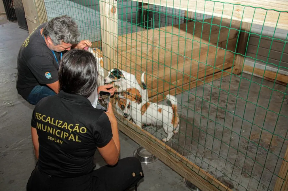 Canil clandestino com 19 cães é descoberto após denúncias em Navegantes